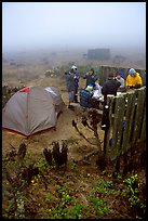 Campers in fog, San Miguel Island. Channel Islands National Park, California, USA. (color)