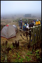 Campers in fog, San Miguel Island. Channel Islands National Park ( color)