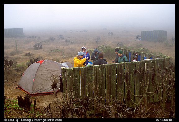 Campsite in typical fog, San Miguel Island. Channel Islands National Park, California, USA.