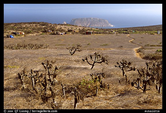 Campground, San Miguel Island. Channel Islands National Park, California, USA.