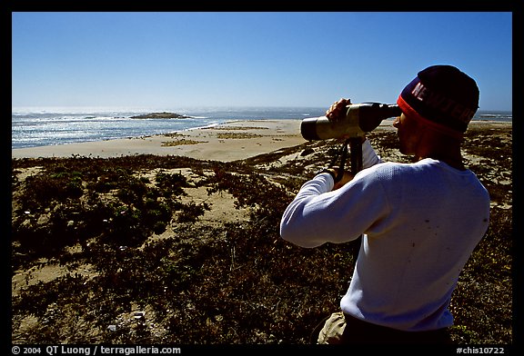 Looking at  marine wildlife at Point Bennett, San Miguel Island. Channel Islands National Park, California, USA.
