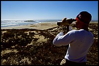 Looking at  marine wildlife at Point Bennett, San Miguel Island. Channel Islands National Park, California, USA.