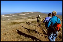 Hikers on  trail to Point Bennett, San Miguel Island. Channel Islands National Park, California, USA.