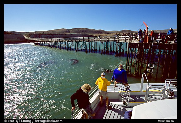 Bechers bay pier, Santa Rosa Island. Channel Islands National Park, California, USA.