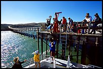 Approaching Bechers Bay pier, Santa Rosa Island. Channel Islands National Park, California, USA.