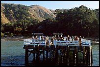 Pier at Prisoners Harbor, Santa Cruz Island. Channel Islands National Park, California, USA. (color)