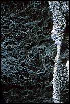 Surf foam seen from above, East Anacapa Island. Channel Islands National Park, California, USA.