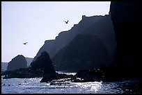 Steep cliffs, East Anacapa. Channel Islands National Park, California, USA.