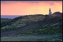Lighthouse, East Anacapa Island. Channel Islands National Park ( color)