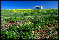 Water storage building with church-like facade, Anacapa. Channel Islands National Park, California, USA. (color)