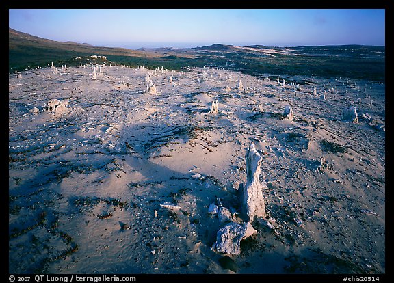 Caliche Forest, early morning, San Miguel Island. Channel Islands National Park, California, USA.