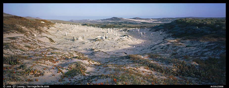 Sandy basin with petrified stumps, San Miguel Island. Channel Islands National Park (color)