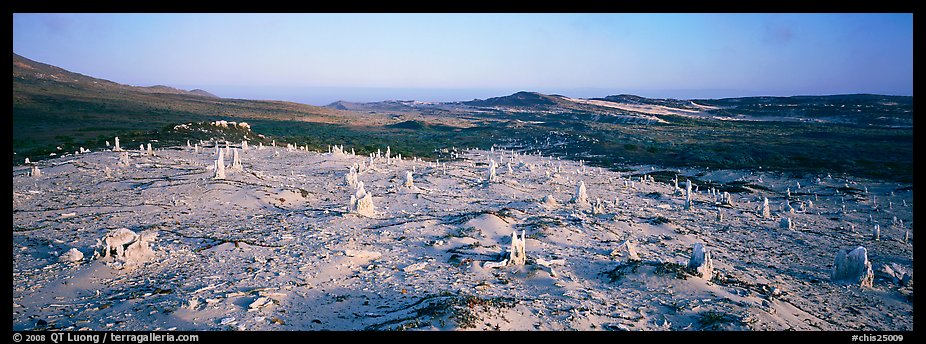 Bizarre ghost forest, San Miguel Island. Channel Islands National Park (color)