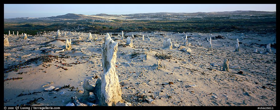 Sand castings on stumps, San Miguel Island. Channel Islands National Park (color)