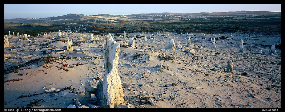 Sand castings on stumps, San Miguel Island. Channel Islands National Park (color)