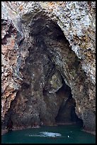 Painted Cave,  largest sea cave in the world, Santa Cruz Island. Channel Islands National Park, California, USA. (color)