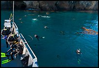 Diving boat and scuba divers in water, Annacapa. Channel Islands National Park, California, USA.