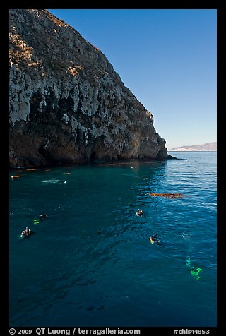 Scuba divers in cove below cliffs, Annacapa island. Channel Islands National Park, California, USA.