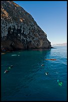 Scuba divers in cove below cliffs, Annacapa island. Channel Islands National Park, California, USA.