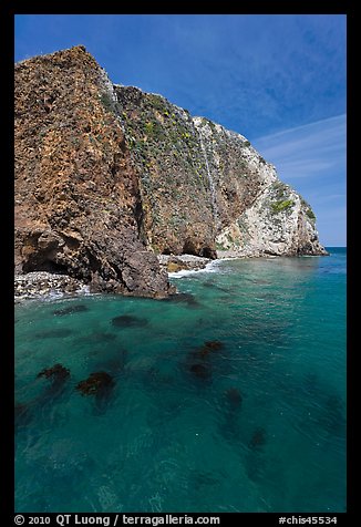 Kelp and cliff, Scorpion Anchorage, Santa Cruz Island. Channel Islands National Park, California, USA.