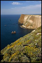 North Bluff, Santa Cruz Island. Channel Islands National Park, California, USA.