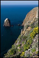 Rock and cliff in springtime, Santa Cruz Island. Channel Islands National Park, California, USA.