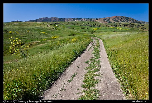 Smugglers Road through green hills in the spring, Santa Cruz Island. Channel Islands National Park, California, USA.