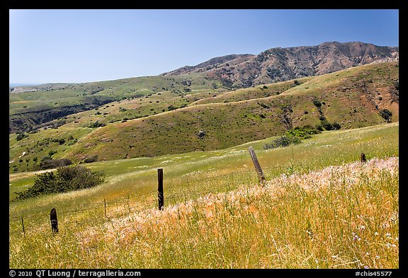 Grasslands, fence and hill ridges, Santa Cruz Island. Channel Islands National Park, California, USA.