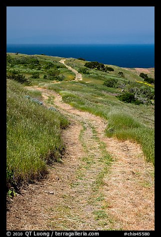 Winding dirt road and ocean, Santa Cruz Island. Channel Islands National Park, California, USA.