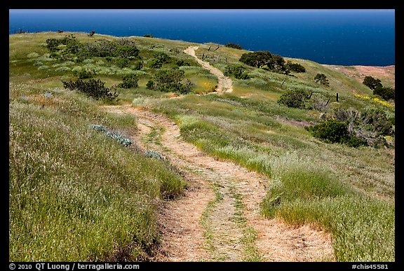 Dirt road through coastal hills, Santa Cruz Island. Channel Islands National Park, California, USA.