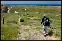 Hiker on trail in the spring, Santa Cruz Island. Channel Islands National Park, California, USA.