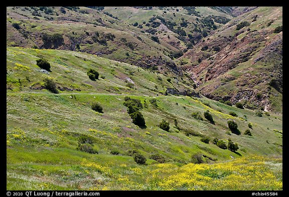 Scorpion Canyon in the spring, Santa Cruz Island. Channel Islands National Park, California, USA.