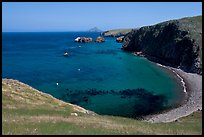 Aquamarine waters and kelp in bay, Scorpion Anchorage, Santa Cruz Island. Channel Islands National Park, California, USA.