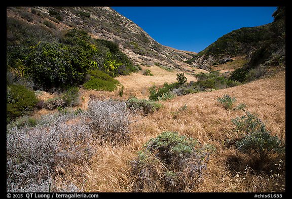 Cherry Canyon, Santa Rosa Island. Channel Islands National Park (color)