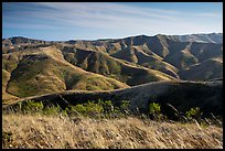 Soledad Peak range from Black Mountain, Santa Rosa Island. Channel Islands National Park ( color)