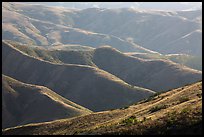 Hills and ridges in late afternoon, Santa Rosa Island. Channel Islands National Park ( color)