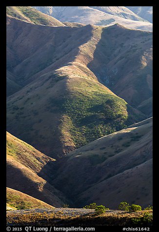 Ridges of central range, Santa Rosa Island. Channel Islands National Park (color)