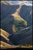 Ridges of central range, Santa Rosa Island. Channel Islands National Park ( color)