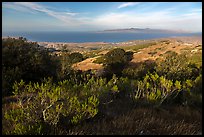 Summit of Black Mountain, Santa Rosa Island. Channel Islands National Park ( color)