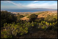 Summit of Black Mountain, Santa Rosa Island. Channel Islands National Park ( color)