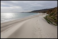 Dunes and sunlight, Water Canyon Beach, Santa Rosa Island. Channel Islands National Park ( color)