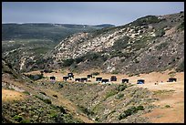 Water Canyon campground, Santa Rosa Island. Channel Islands National Park ( color)