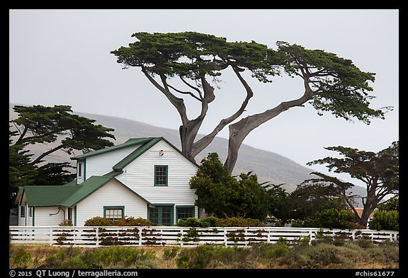 Historic Vail and Vickers main ranch house with cypress trees, Santa Rosa Island. Channel Islands National Park (color)