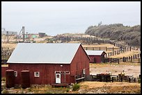 Barns and corrals, Vail and Vickers Ranch, Santa Rosa Island. Channel Islands National Park ( color)