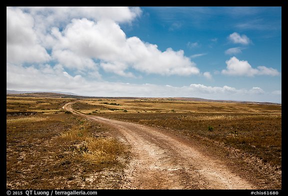 Road, Santa Rosa Island. Channel Islands National Park, California, USA.