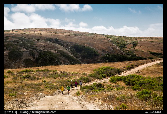 Hikers on road, Santa Rosa Island. Channel Islands National Park, California, USA.