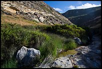 Year-round stream, Lobo Canyon, Santa Rosa Island. Channel Islands National Park ( color)