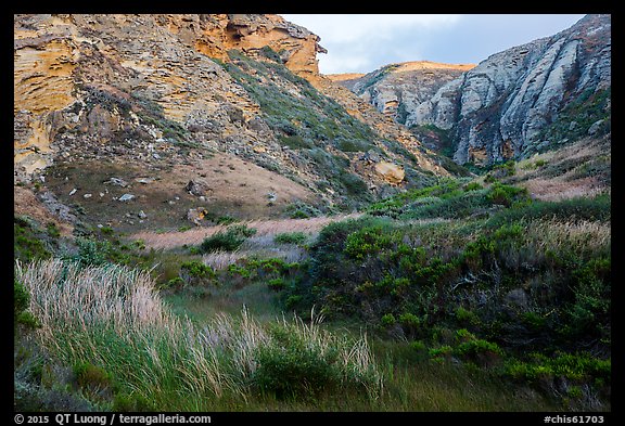 Lobo Canyon at sunset , Santa Rosa Island. Channel Islands National Park (color)