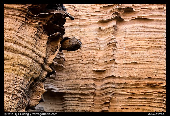 Detail of water-sculptured canyon wall, Lobo Canyon, Santa Rosa Island. Channel Islands National Park (color)