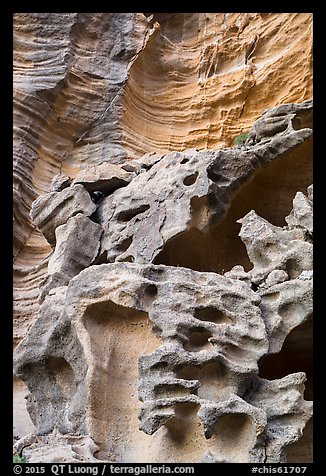 Intricate sandstone cliffs, Lobo Canyon, Santa Rosa Island. Channel Islands National Park (color)